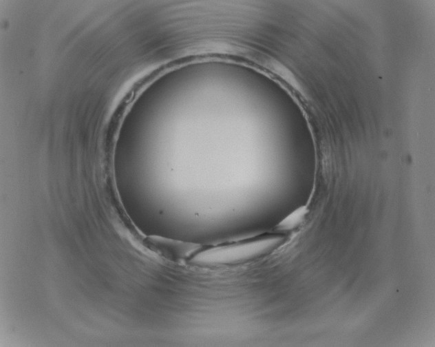 X0000071971116200607282051