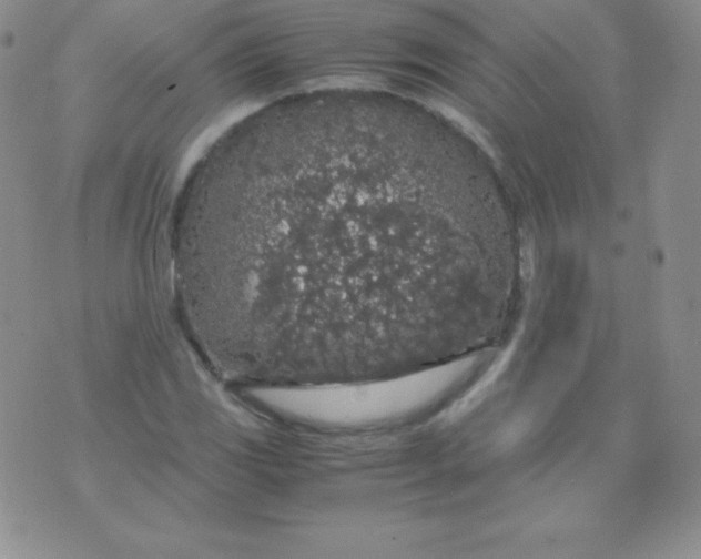 X0000071971117200607282051