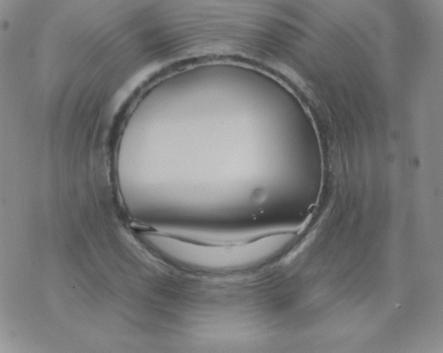 X0000071971118200607282051