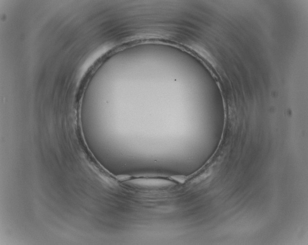 X0000071971119200607282051