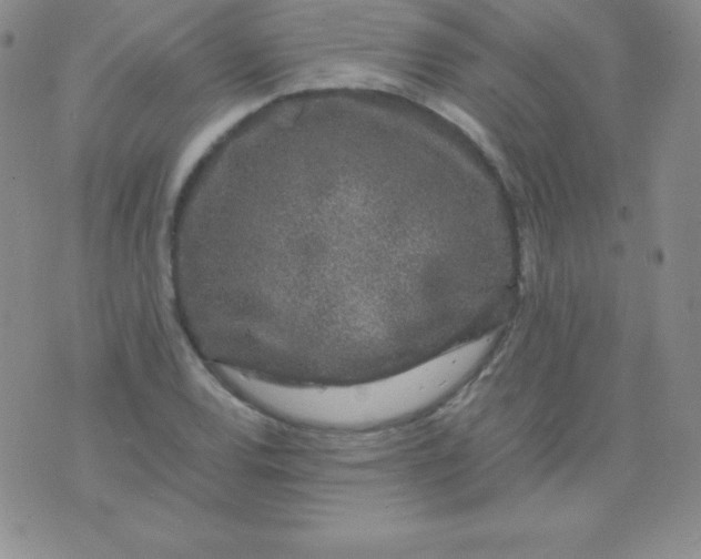 X0000071971120200607282051