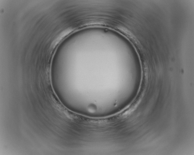 X0000071971121200607282051