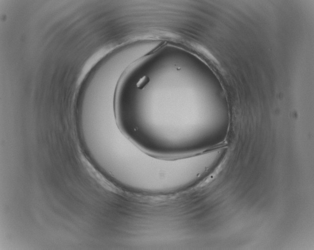 X0000071971122200607282051