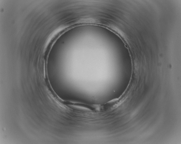 X0000071971123200607282051