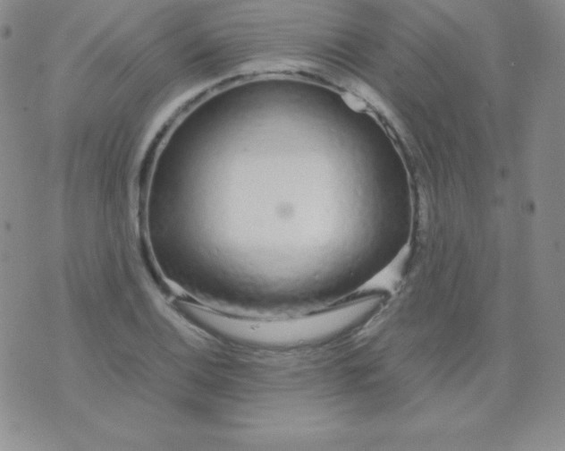 X0000071971124200607282051