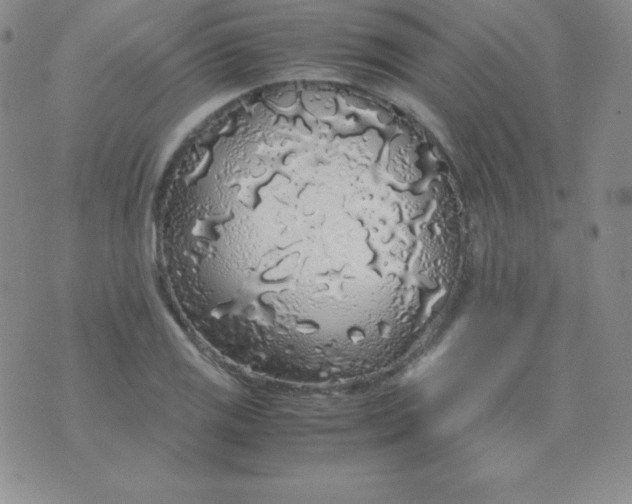 X0000071971125200607282051