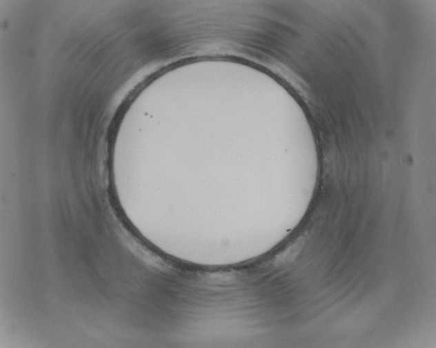 X0000071971126200607282051