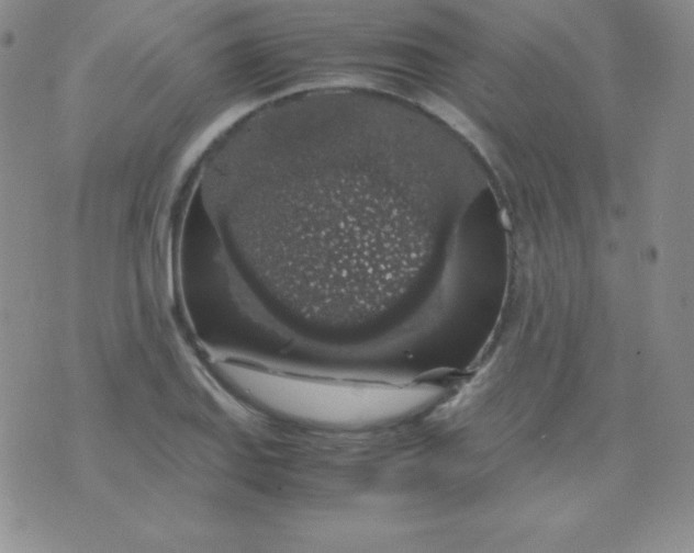 X0000071971127200607282051