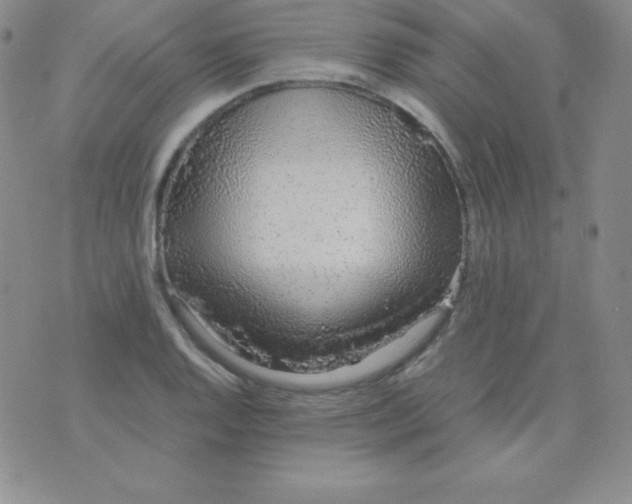 X0000071971128200607282051