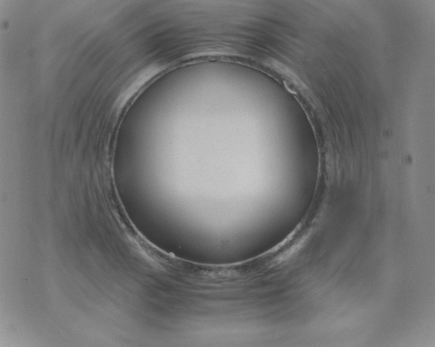 X0000071971129200607282051