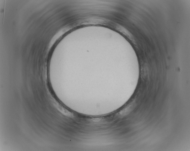 X0000071971130200607282051