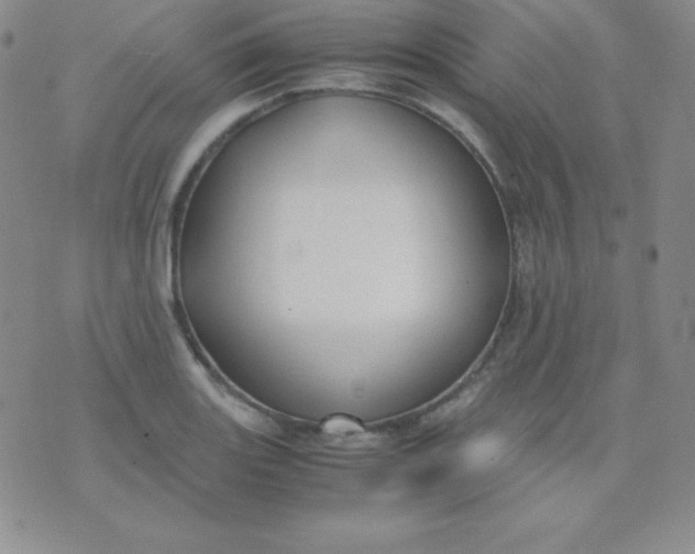 X0000071971131200607282051