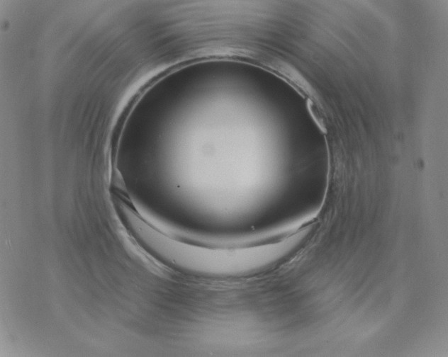 X0000071971132200607282051