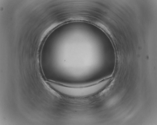 X0000071971133200607282051