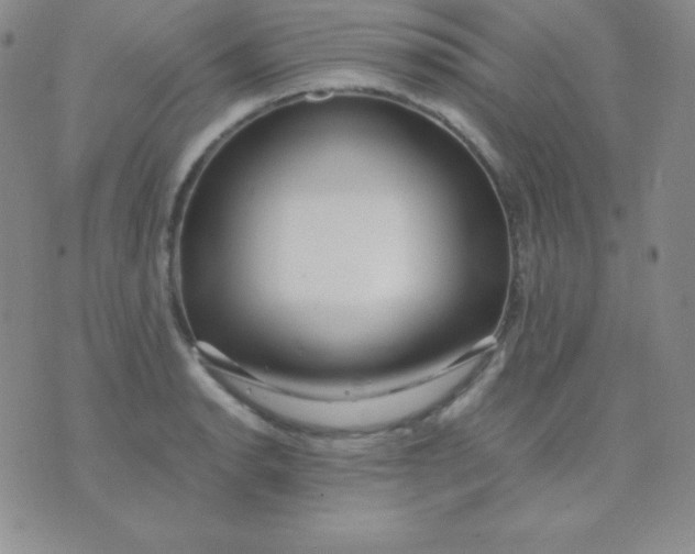 X0000071971134200607282051