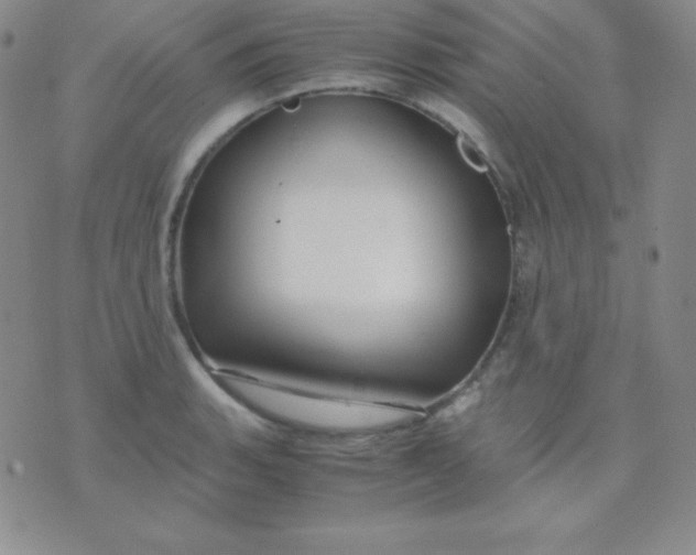 X0000071971135200607282051