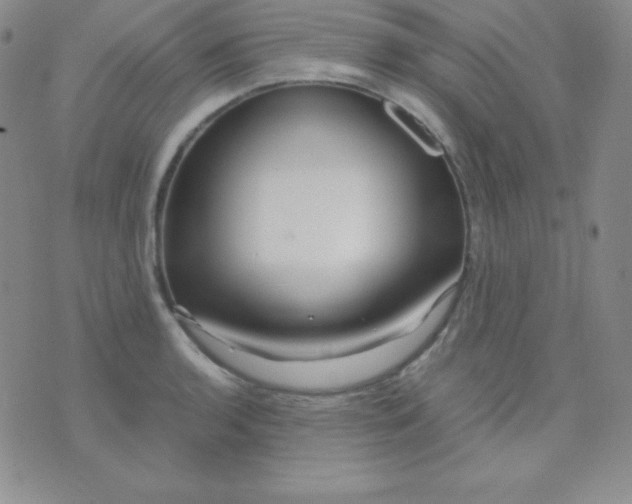 X0000071971136200607282051