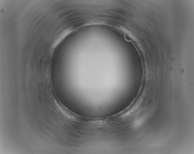 X0000071971137200607282051