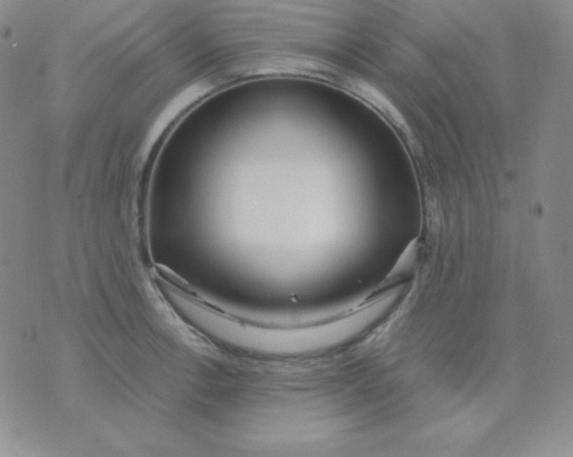 X0000071971138200607282051