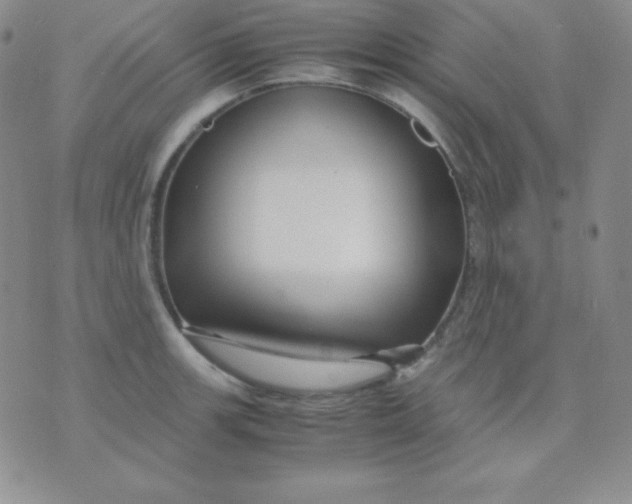 X0000071971139200607282051