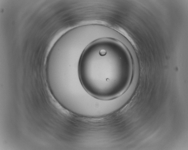 X0000071971140200607282051