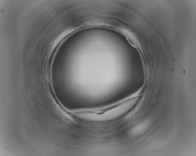 X0000071971141200607282051