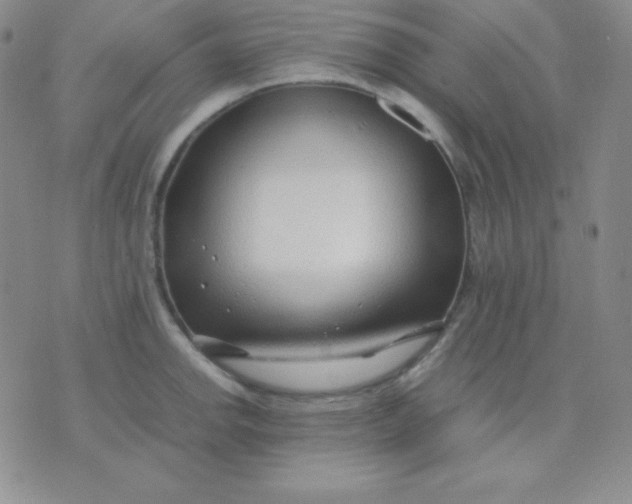 X0000071971142200607282051