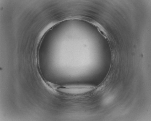 X0000071971143200607282051