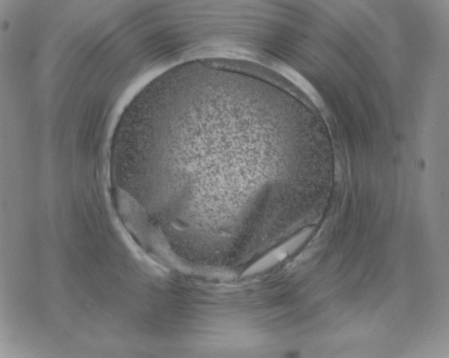 X0000071971144200607282051