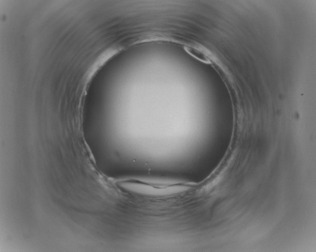 X0000071971145200607282051