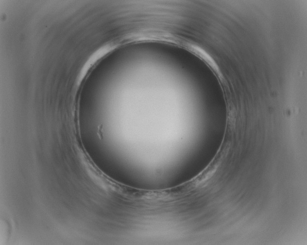 X0000071971146200607282052