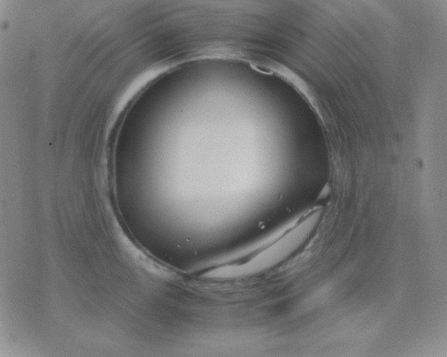 X0000071971147200607282052