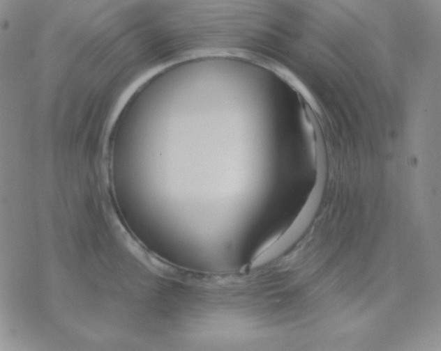 X0000071971148200607282052