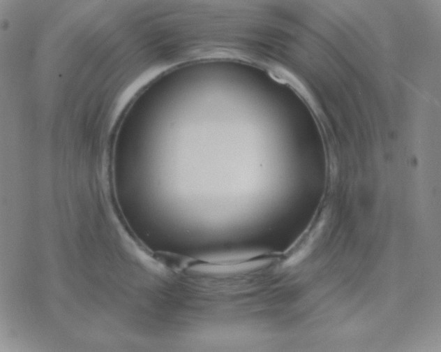 X0000071971149200607282052