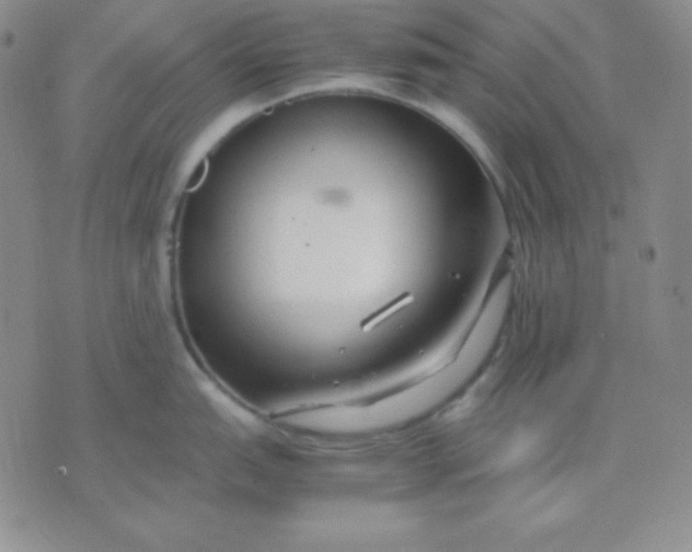 X0000071971151200607282052