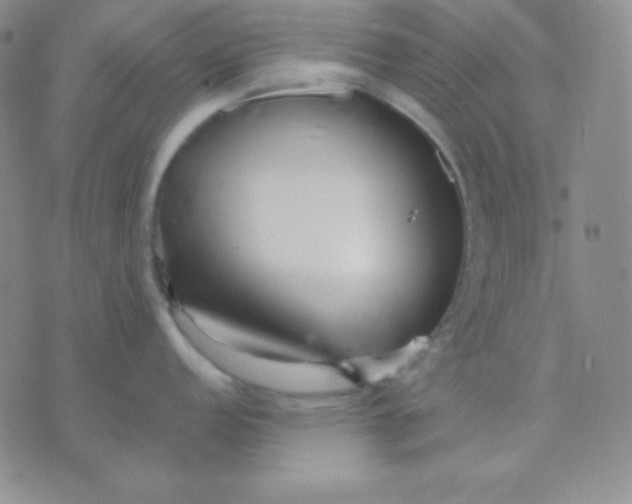 X0000071971152200607282052