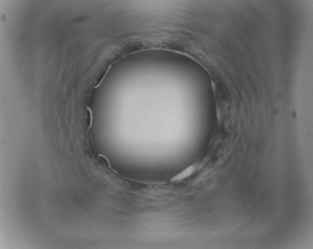 X0000071971153200607282051