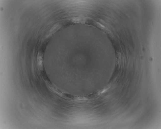 X0000071971154200607282051