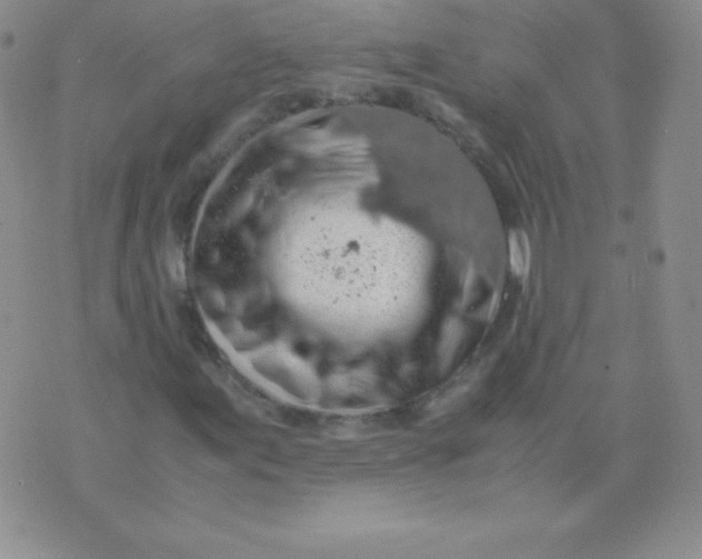 X0000071971155200607282051