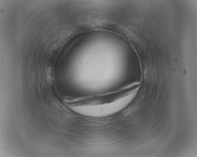 X0000071971156200607282051