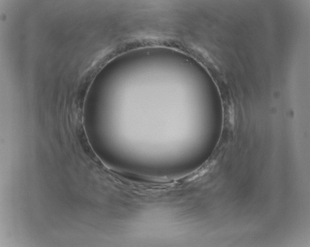 X0000071971157200607282051