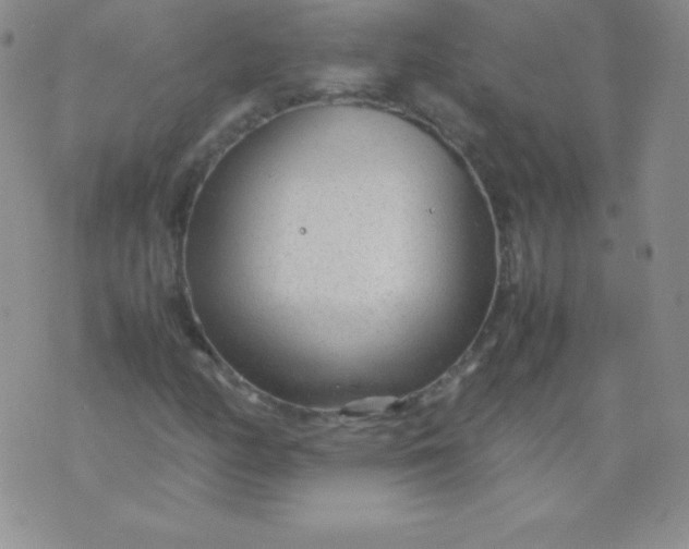 X0000071971158200607282051