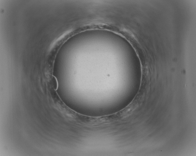 X0000071971159200607282051