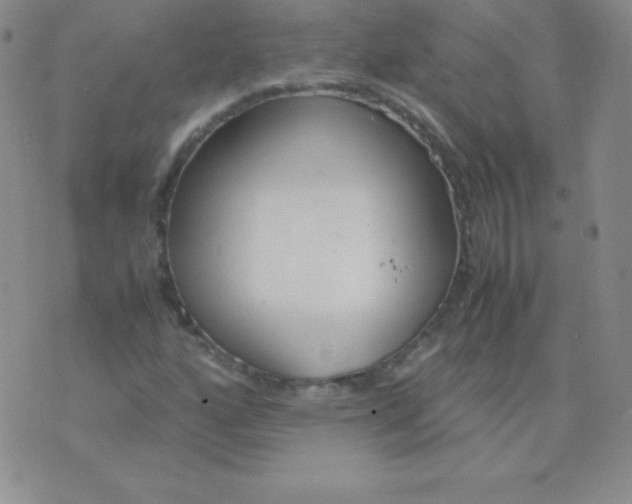 X0000071971160200607282051