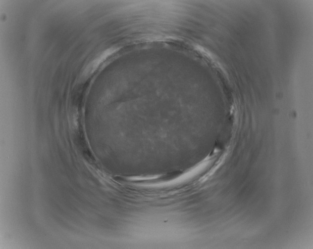 X0000071971161200607282051