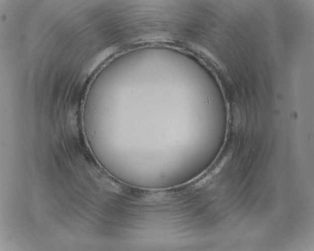 X0000071971162200607282051