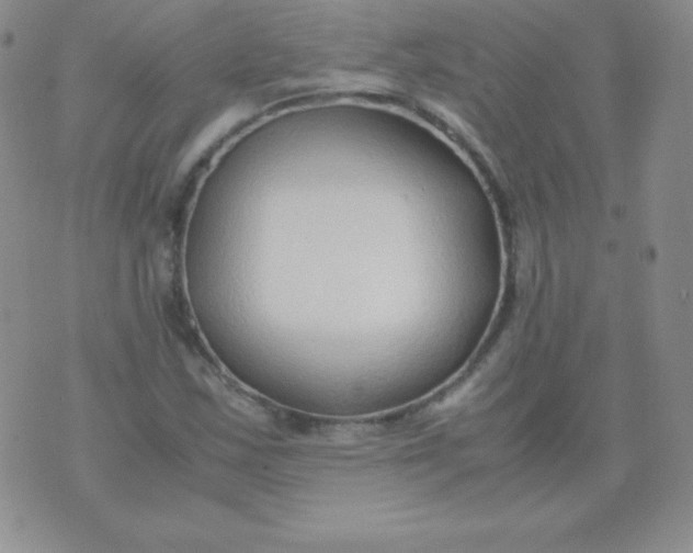 X0000071971163200607282051