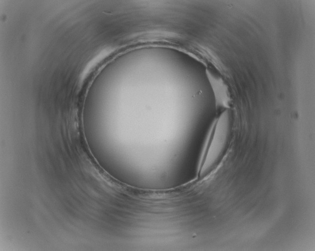 X0000071971164200607282051