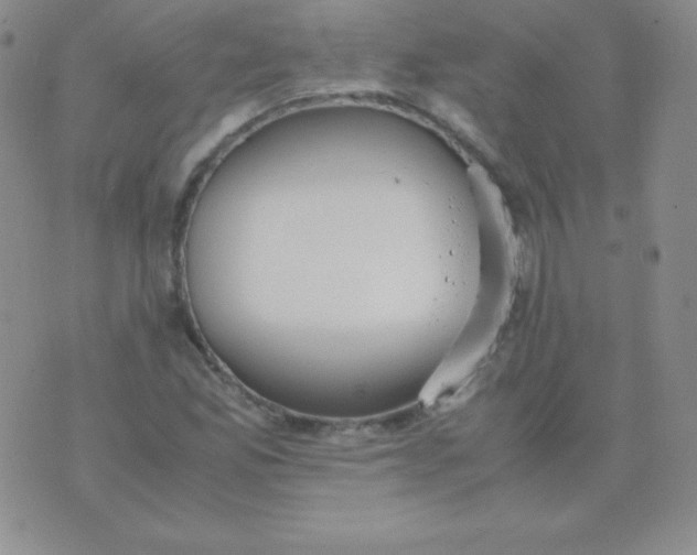 X0000071971165200607282051