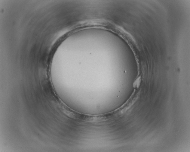 X0000071971166200607282051